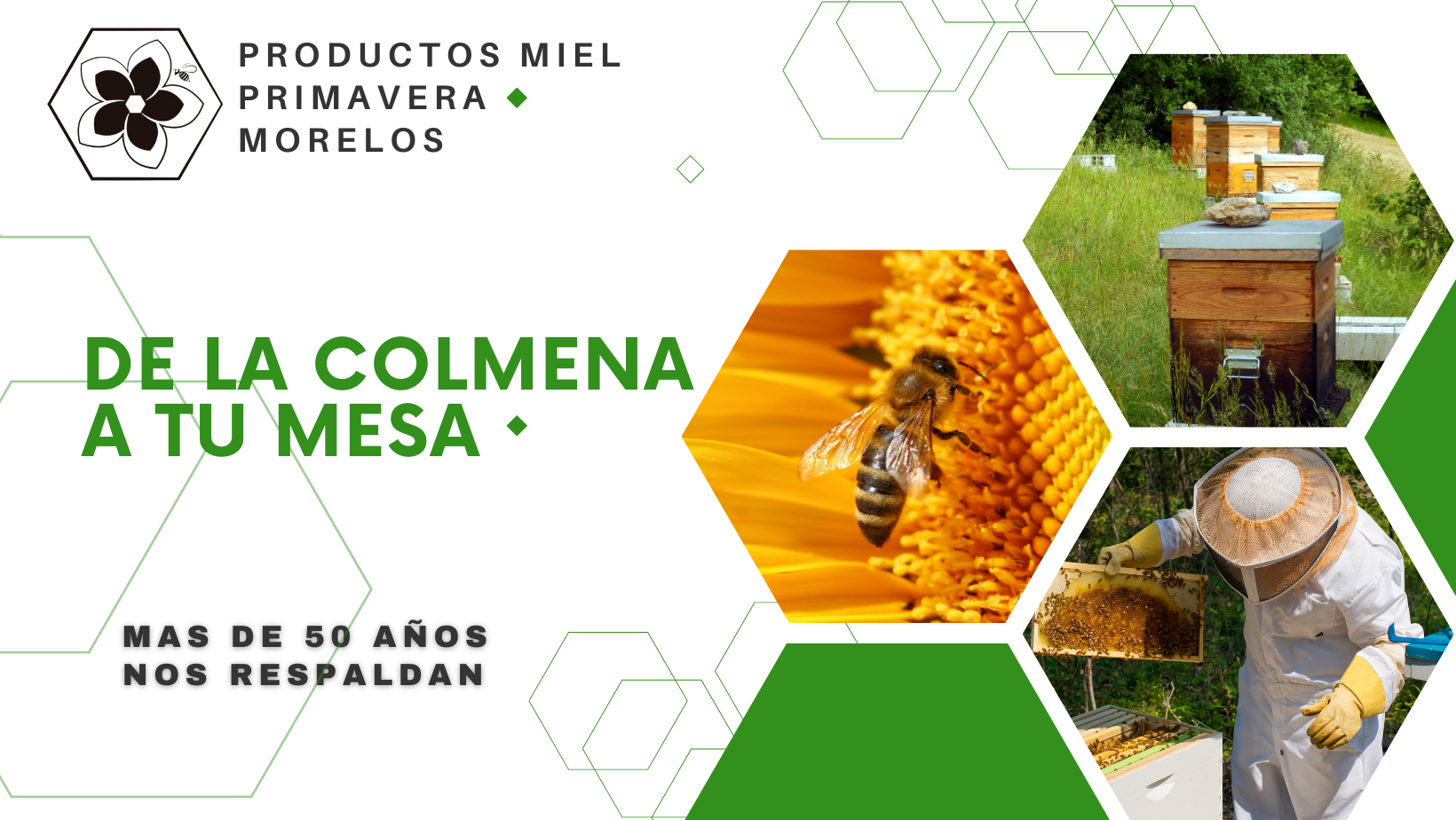 Productos Miel Primavera Morelos - imagen de portada